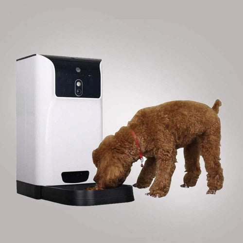 Automatic Pet Feeder