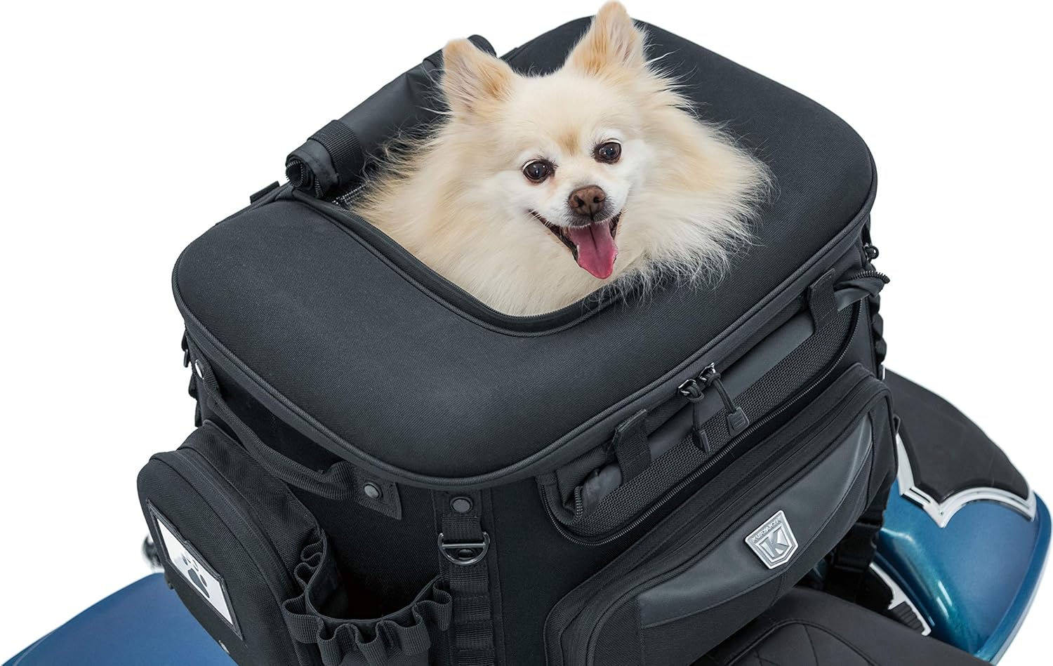 Portable Weather Resistant Motorcycle Dog/Cat Carrier Crate for Luggage Rack