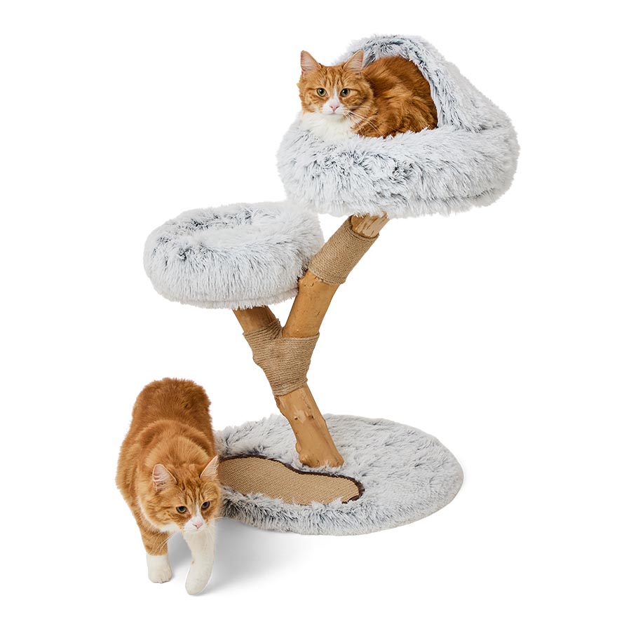 Pets at Home Misty Double Condo