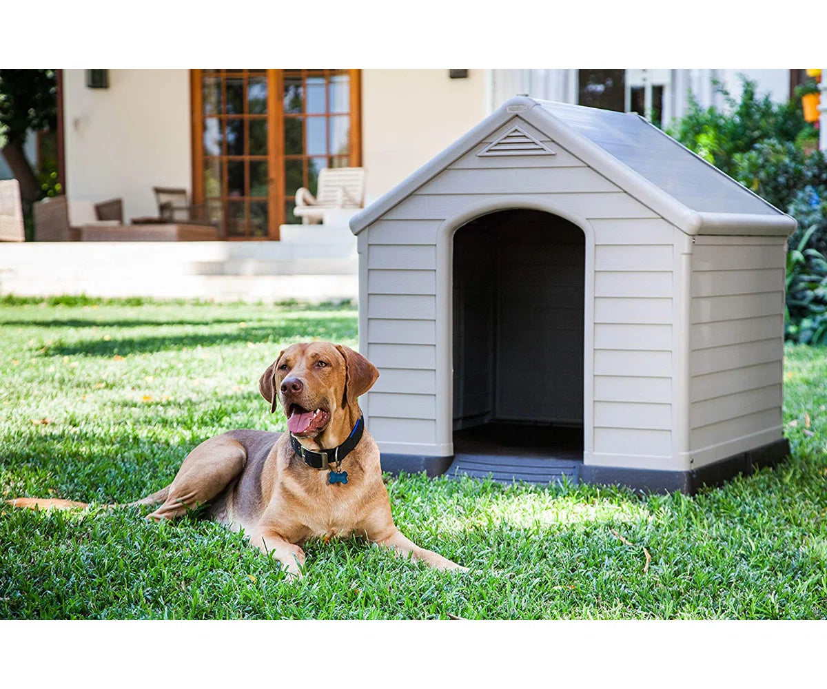 Dog House